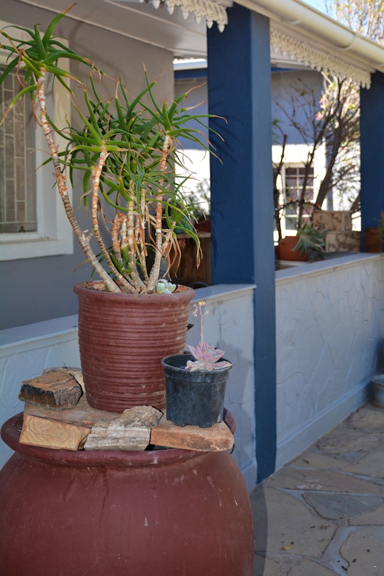 Karoo Accommodation at  | Viya