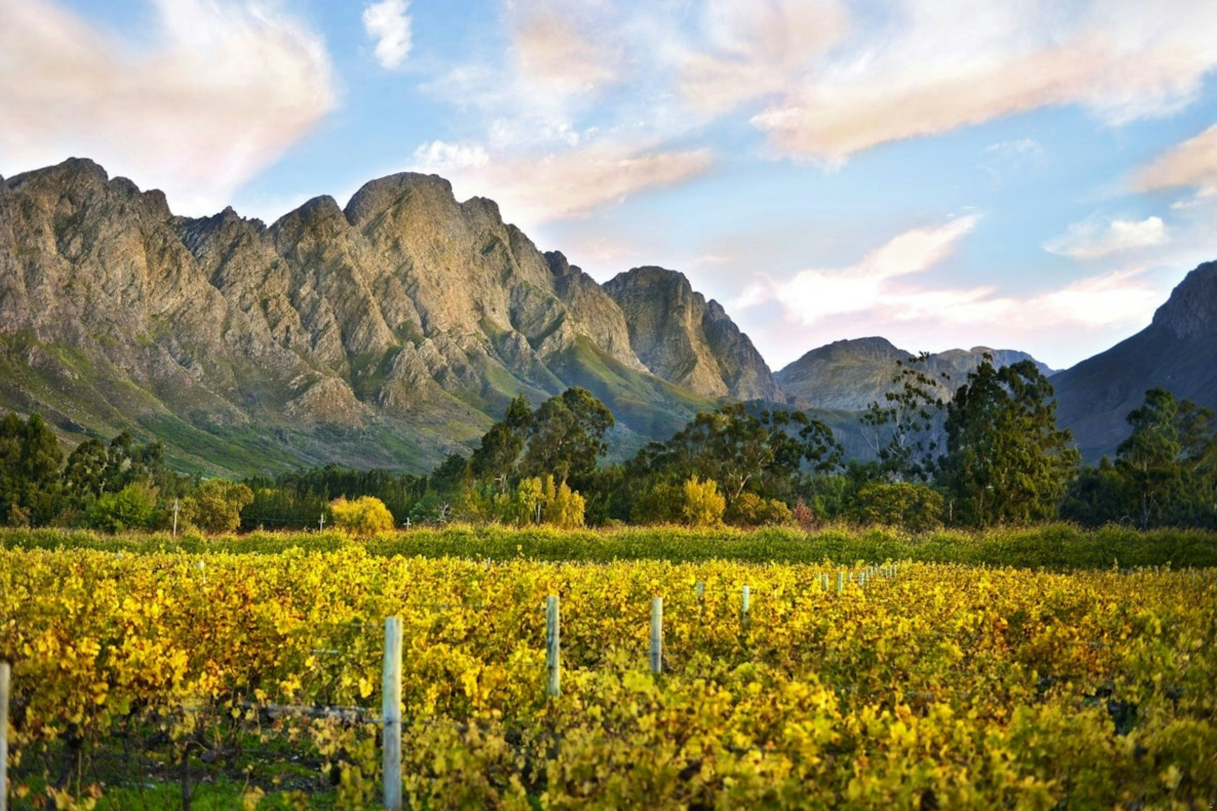 Franschhoek
