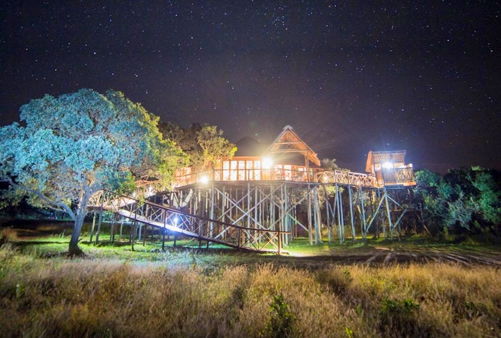 Limpopo Accommodation at Pezulu Tree House Lodge | Viya