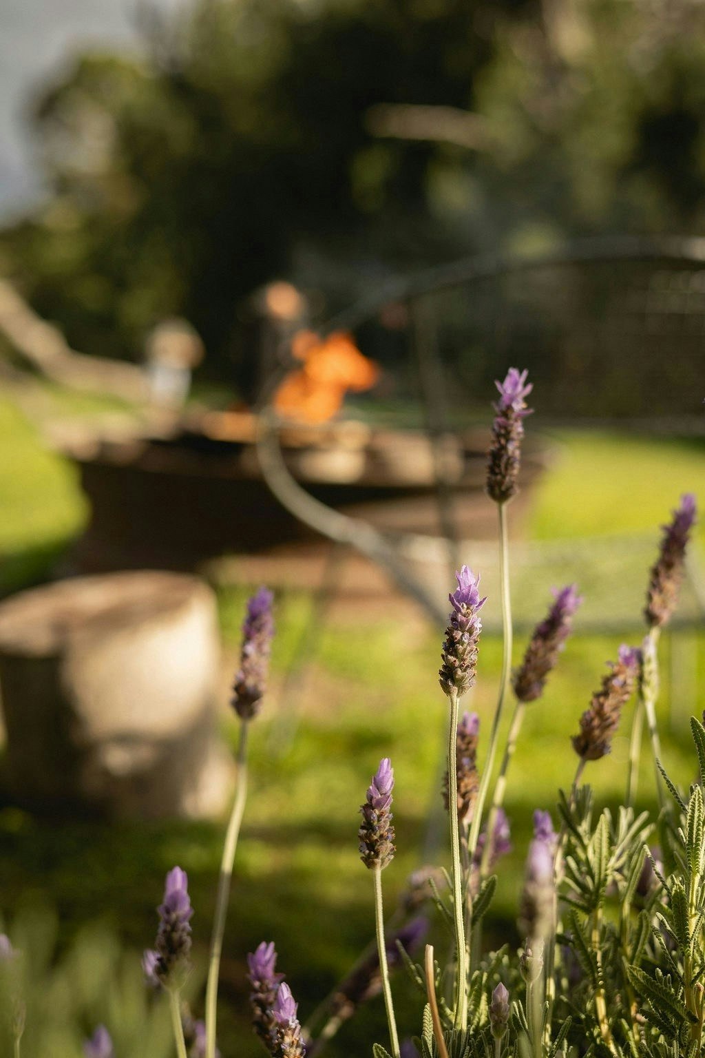 Boskloof Farm Escape image no 3 of 30