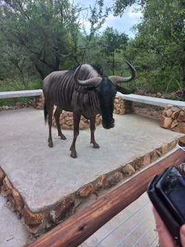 Kruger National Park South Accommodation at Sonador Bush House | Viya