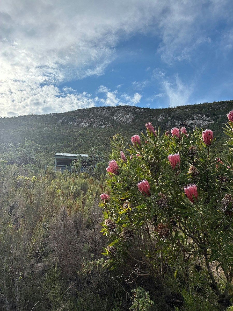 Skilpad Spoortjies Mountain Retreat image no 19 of 53