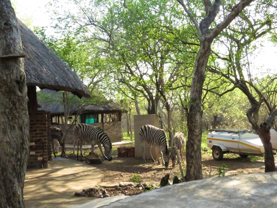 Kruger National Park South Accommodation at  | Viya