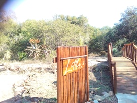 Kruger To Canyons Accommodation at Little 5 Camp | Viya