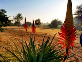 Cradle Of Humankind Accommodation at Cradle Farmstay - Sunrise Cottage | Viya