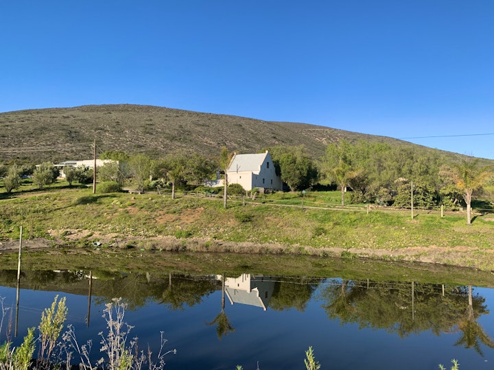 Western Cape Accommodation at Rhebokskraal Olyf Landgoed | Viya