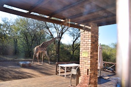 Kruger National Park South Accommodation at Khumbula iAfrica 2 | Viya