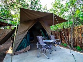 Dinokeng Game Reserve Accommodation at  | Viya