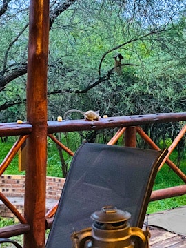 Kruger National Park South Accommodation at Habibi | Viya