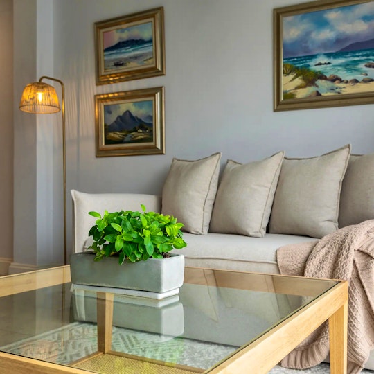 Atlantic Seaboard Accommodation at  | Viya