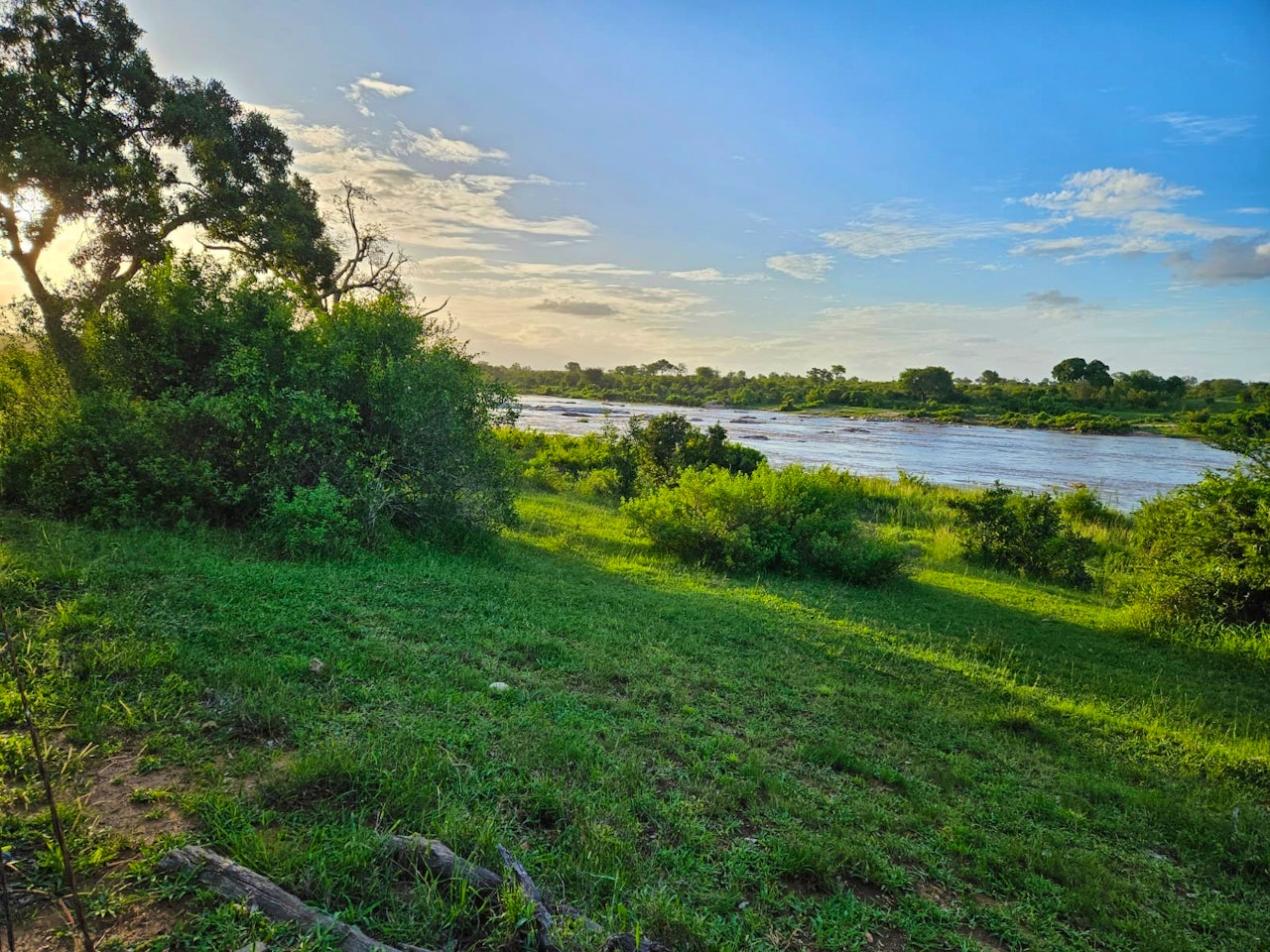 Kruger National Park South Accommodation at  | Viya