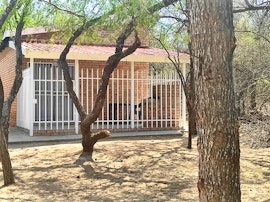 Kruger National Park South Accommodation at Ingwe House | Viya