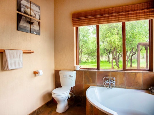 Limpopo Accommodation at  | Viya