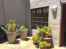 Garden Route Accommodation at 8 On Main | Viya