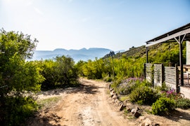 Cederberg Accommodation at Cederkloof Botanical Retreat | Viya