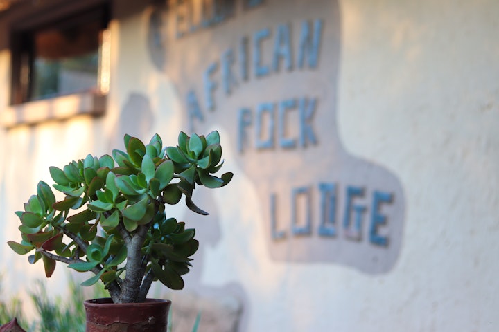 Mpumalanga Accommodation at African Rock Lodge | Viya