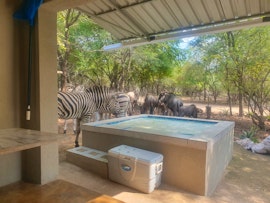 Kruger National Park South Accommodation at  | Viya