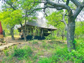 Kruger To Canyons Accommodation at  | Viya