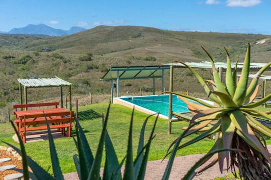 Western Cape Accommodation at  | Viya