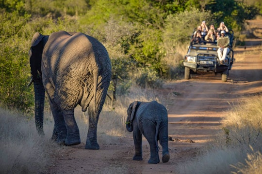 Kruger To Canyons Accommodation at  | Viya