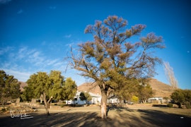 Western Cape Accommodation at Taaiboschfontein | Viya