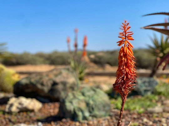 Namaqualand Accommodation at  | Viya