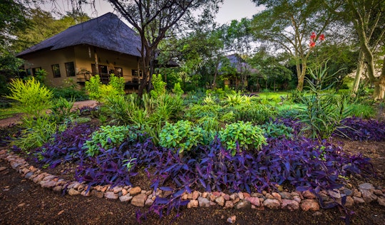 Lowveld Accommodation at  | Viya