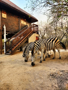 Kruger National Park South Accommodation at Amare Cabin | Viya