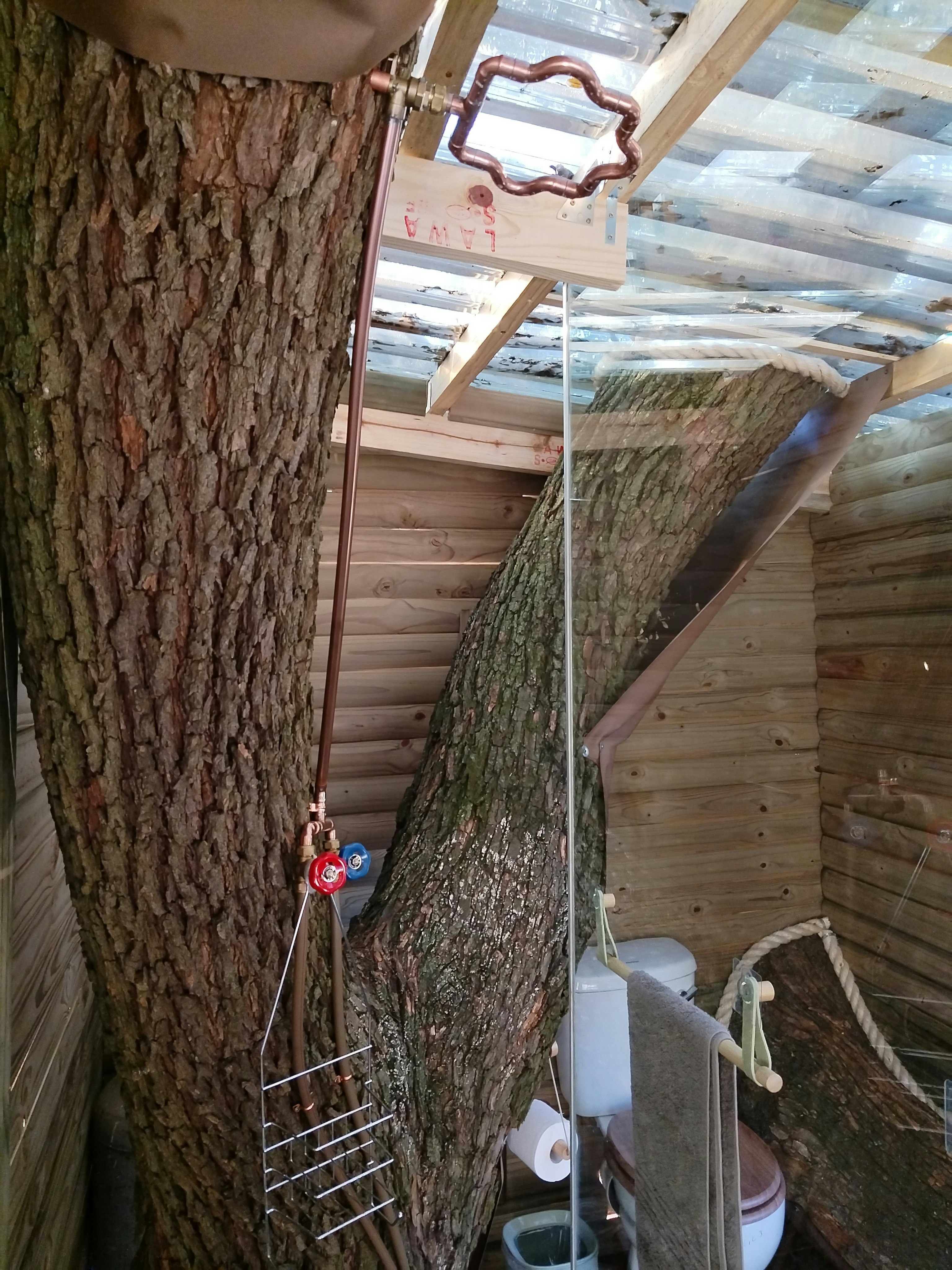Tree House Living image no 13 of 14