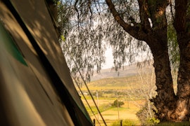 Oudtshoorn Accommodation at  | Viya