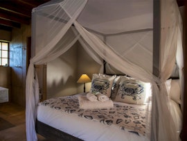 Garden Route Accommodation at  | Viya