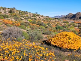 Namaqualand Accommodation at Counting Crows | Viya