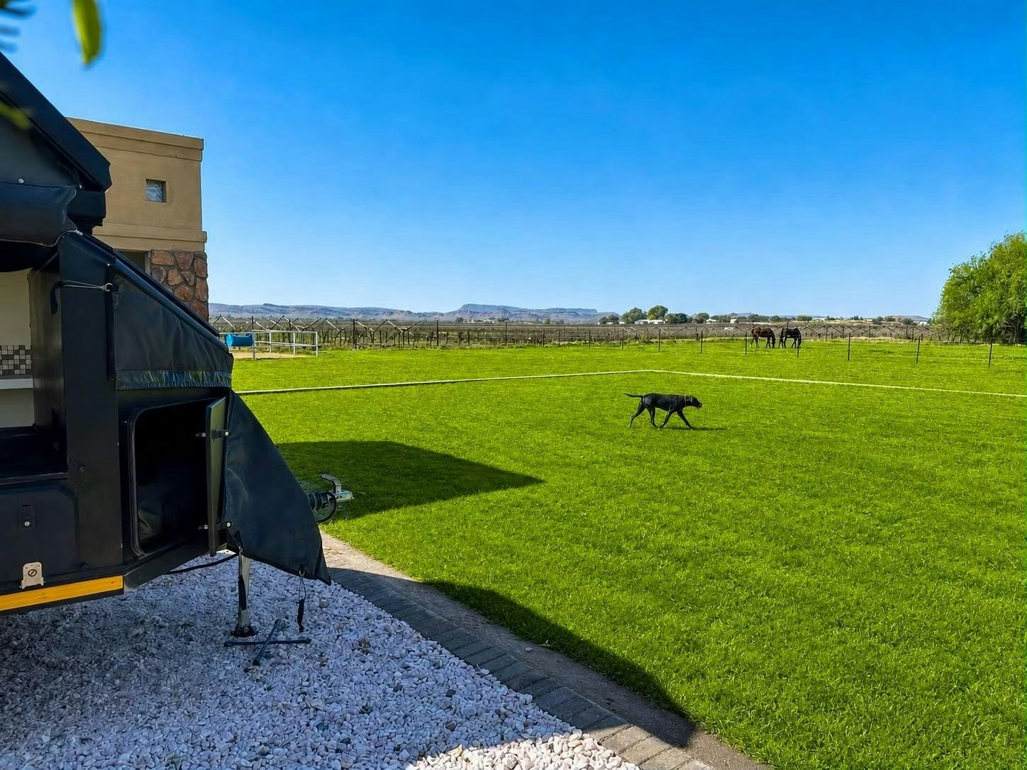 Paddock Camp Site image no 2 of 8