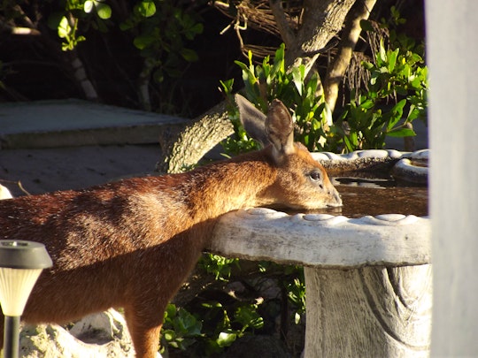 Struisbaai Accommodation at  | Viya