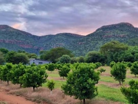 Mpumalanga Accommodation at Die Boom Guest Farm | Viya