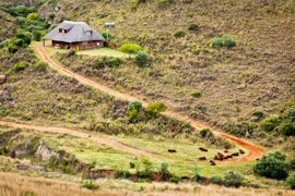 Mpumalanga Accommodation at Ribbokkloof Holiday Farm | Viya