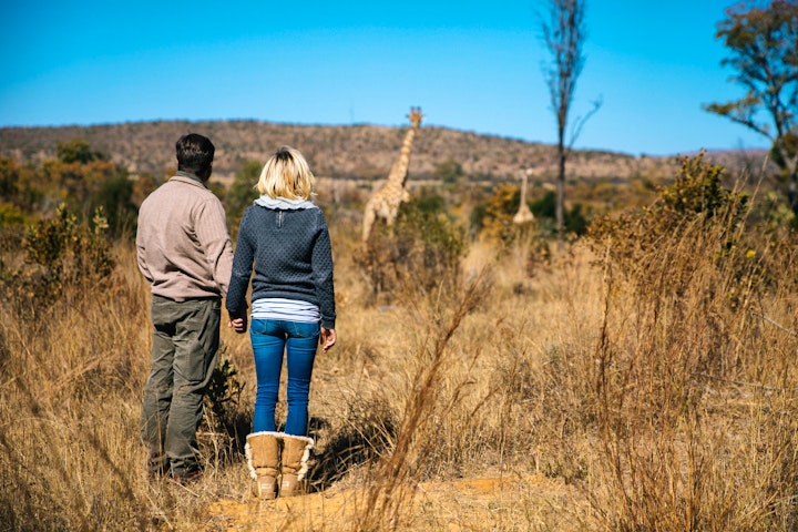 Limpopo Accommodation at Kololo Game Reserve | Viya
