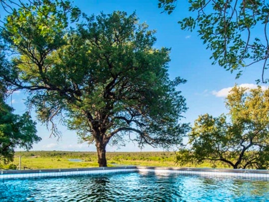 Kruger National Park South Accommodation at  | Viya