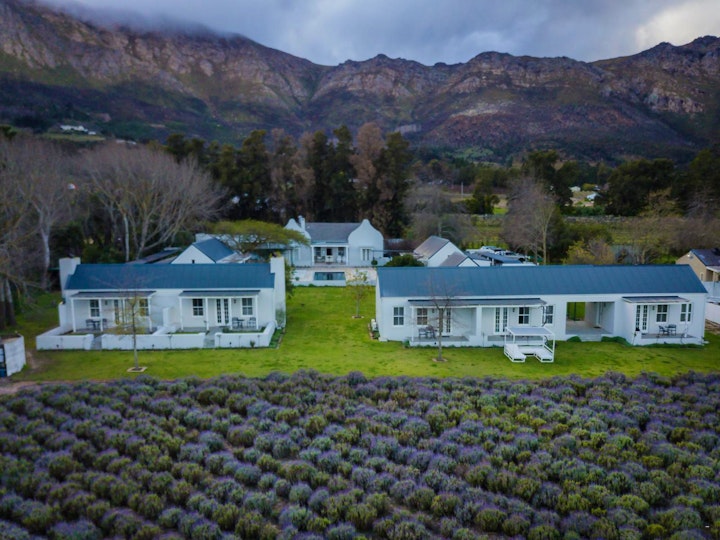 Western Cape Accommodation at Lavender Farm Guest House | Viya