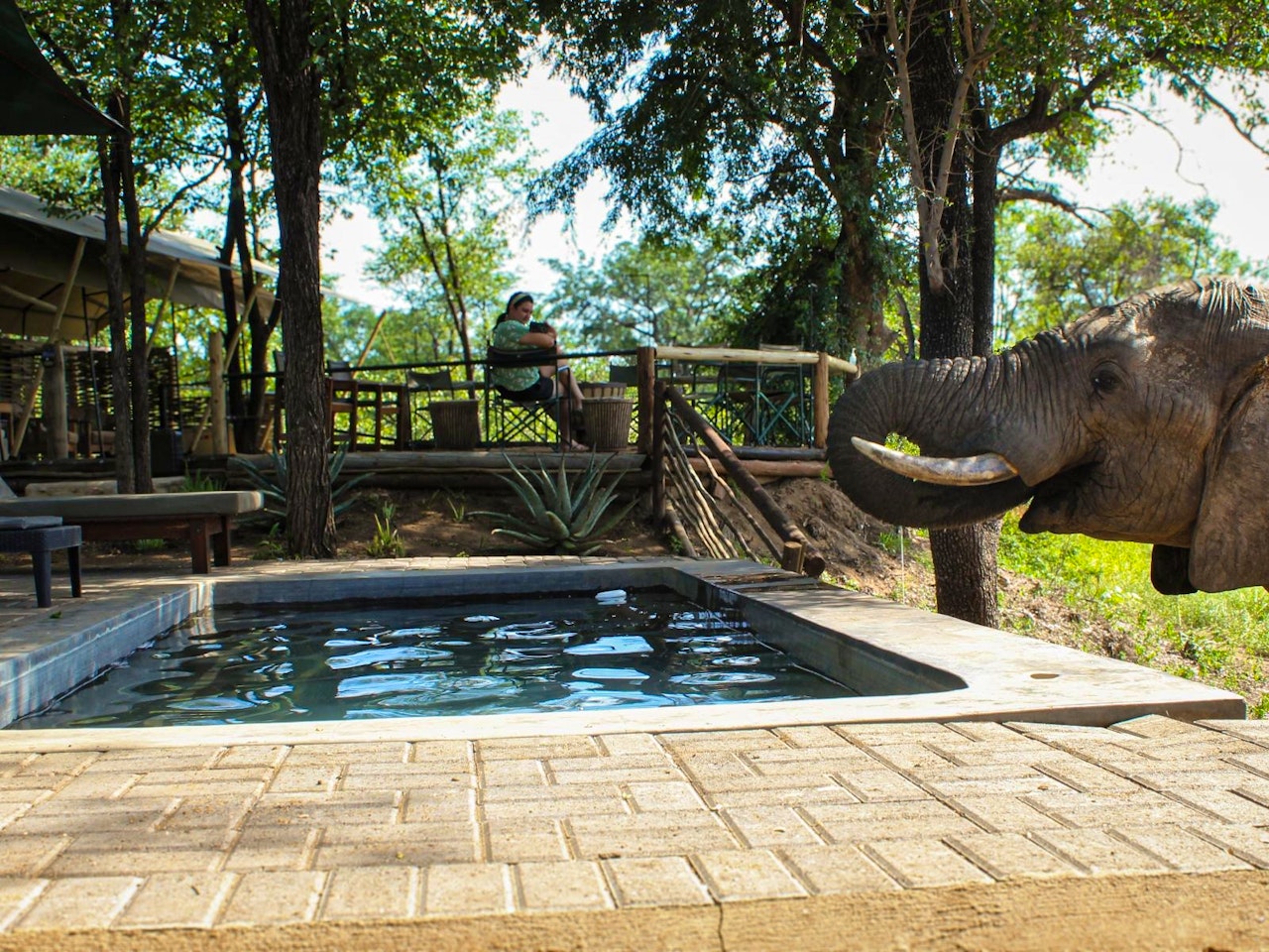 Lowveld Accommodation at  | Viya