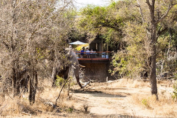 Mpumalanga Accommodation at Serondella Safari Lodge | Viya