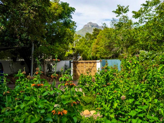 Stellenbosch Accommodation at  | Viya