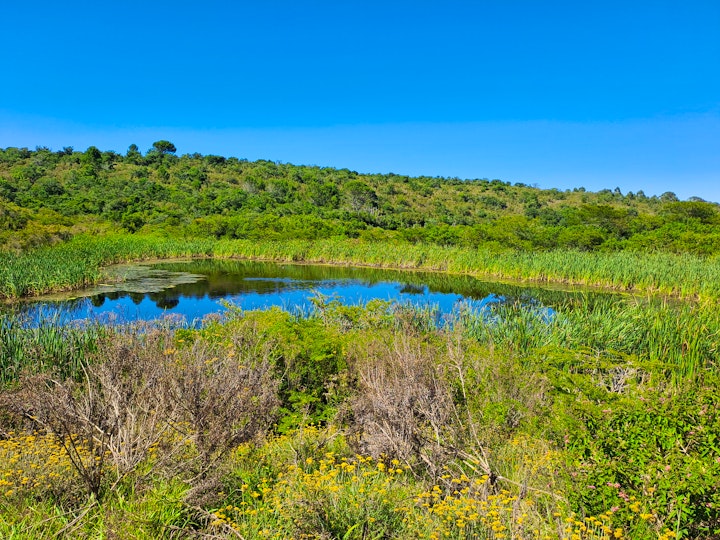 Eastern Cape Accommodation at Grasslands Farm | Viya