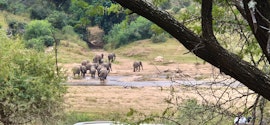 Kruger National Park South Accommodation at  | Viya