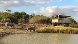 Kruger To Canyons Accommodation at Tshukudu Bush Camp | Viya