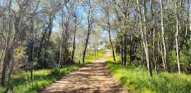 Overberg Accommodation at Cottage The Chapel @ Berg n Dal Heritage Farm | Viya