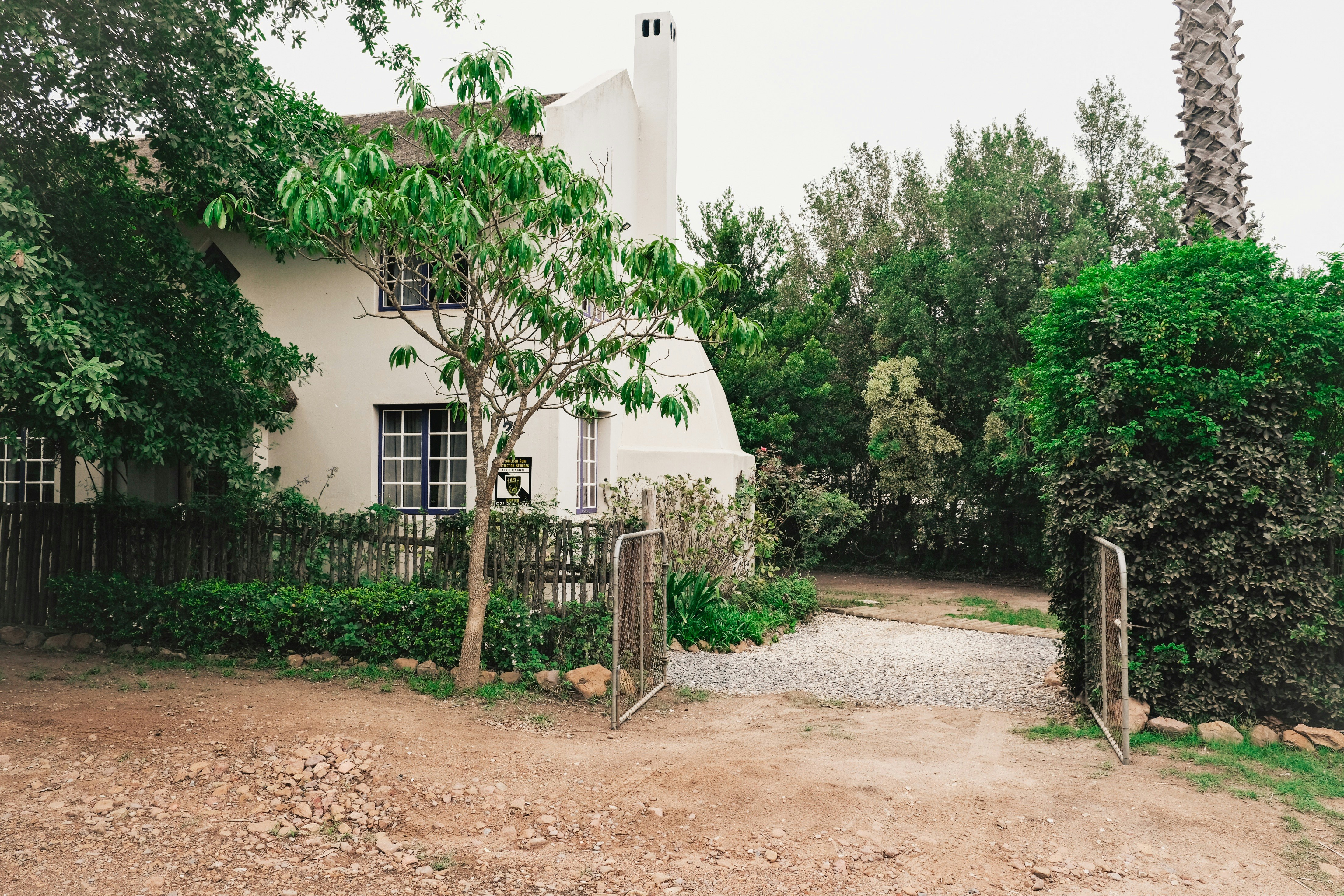 The Little Thatch Cottage image no 3 of 27