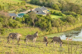 Western Cape Accommodation at Hakuna Matata Boutique Game Farm | Viya