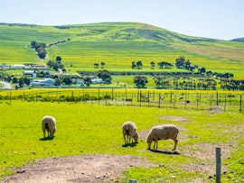 Western Cape Accommodation at Anna Beulah Guest Studio | Viya