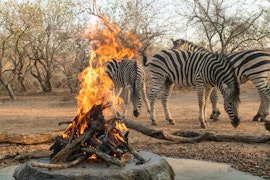 Kruger National Park South Accommodation at  | Viya